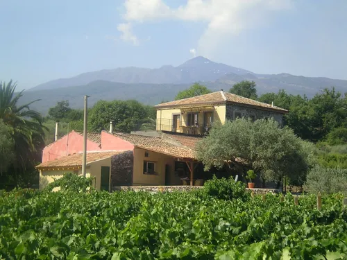 ae_Tenuta_Madonnina