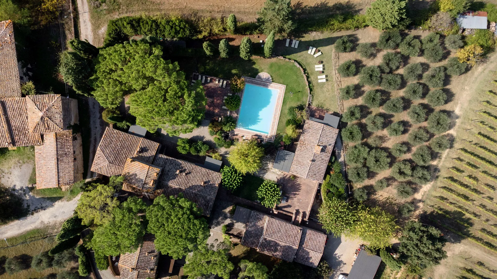 Agriturismo Borgo Santinovo afbeelding 3