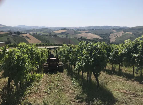 Agriturismo Brezza di Sera - Carrousel 20.jpg