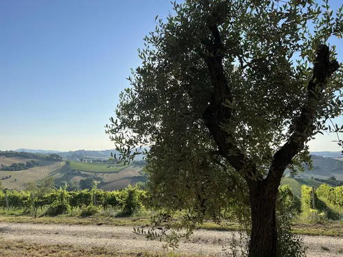 Agriturismo Brezza di Sera - Carrousel 21.jpg