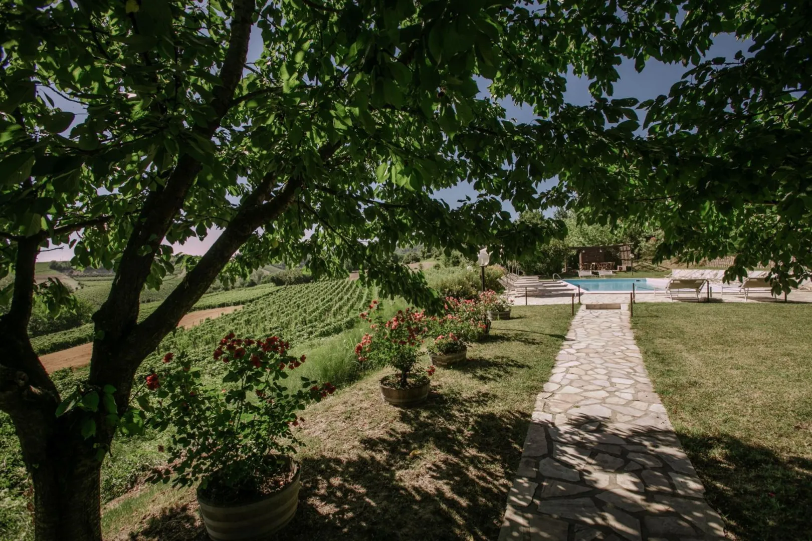Agriturismo Bricco San Giovanni B&B afbeelding 4