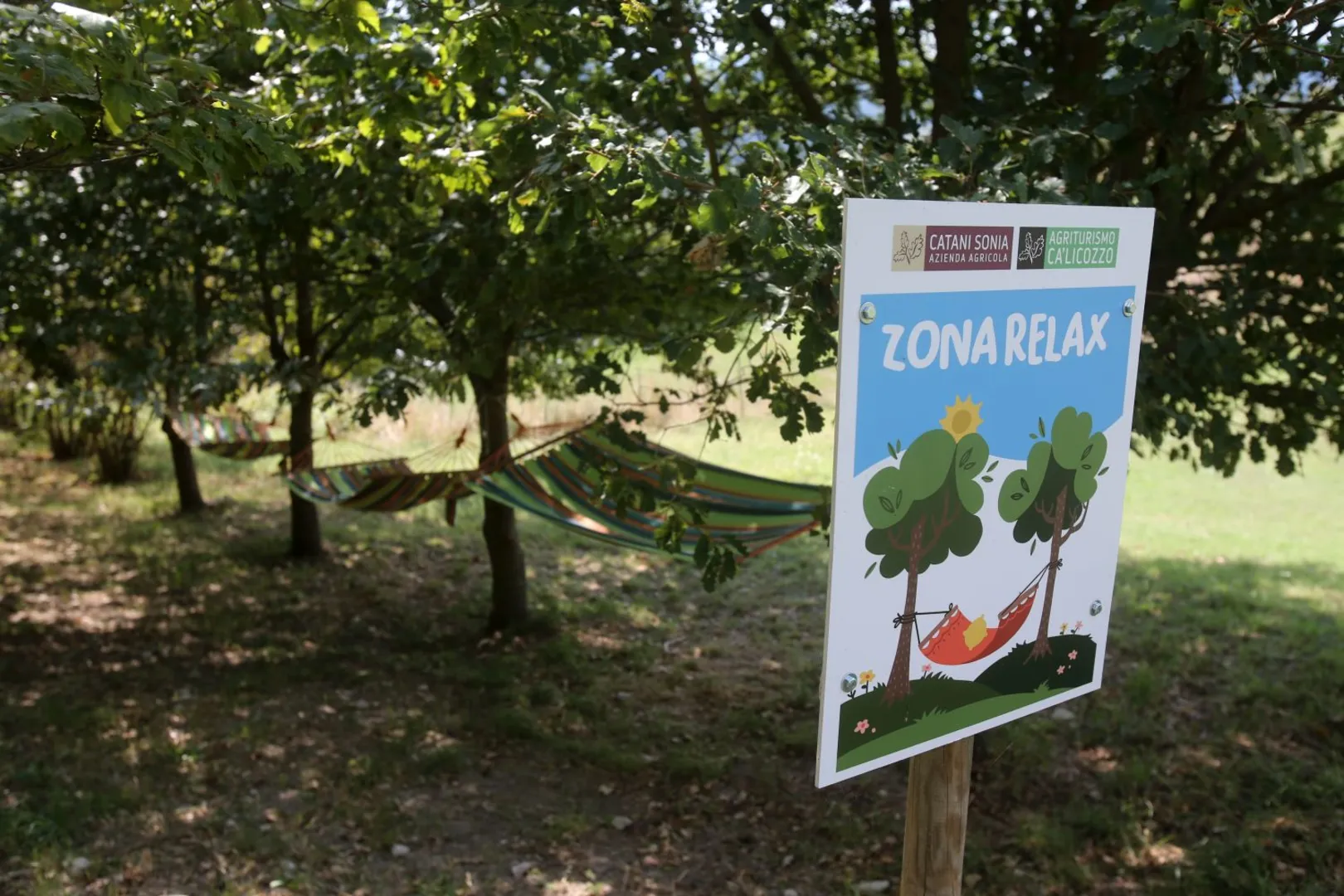 Agriturismo Ca'Licozzo afbeelding 4