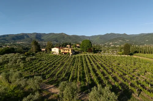 Agriturismo Fattoria San Jacopo - Algemeen 18