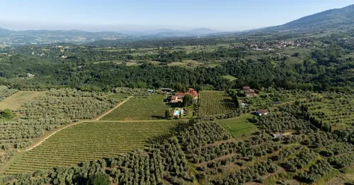 Agriturismo Fattoria San Jacopo - Algemeen 21