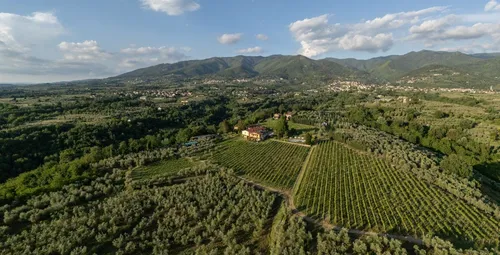 Agriturismo Fattoria San Jacopo - Algemeen 22