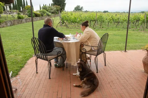 Agriturismo Fattoria San Jacopo - Algemeen 39