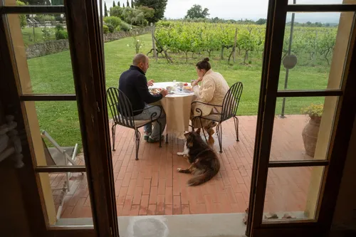 Agriturismo Fattoria San Jacopo - Algemeen 40
