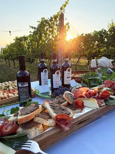 Agriturismo Fattoria San Jacopo - Algemeen 51