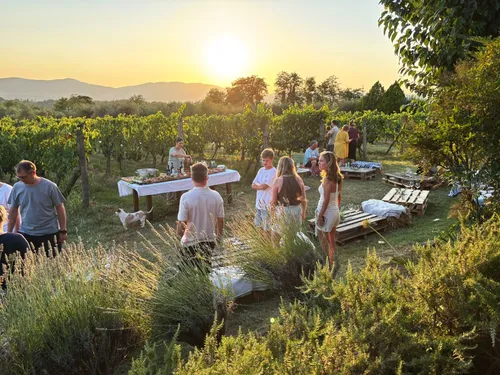 Agriturismo Fattoria San Jacopo - Algemeen 54