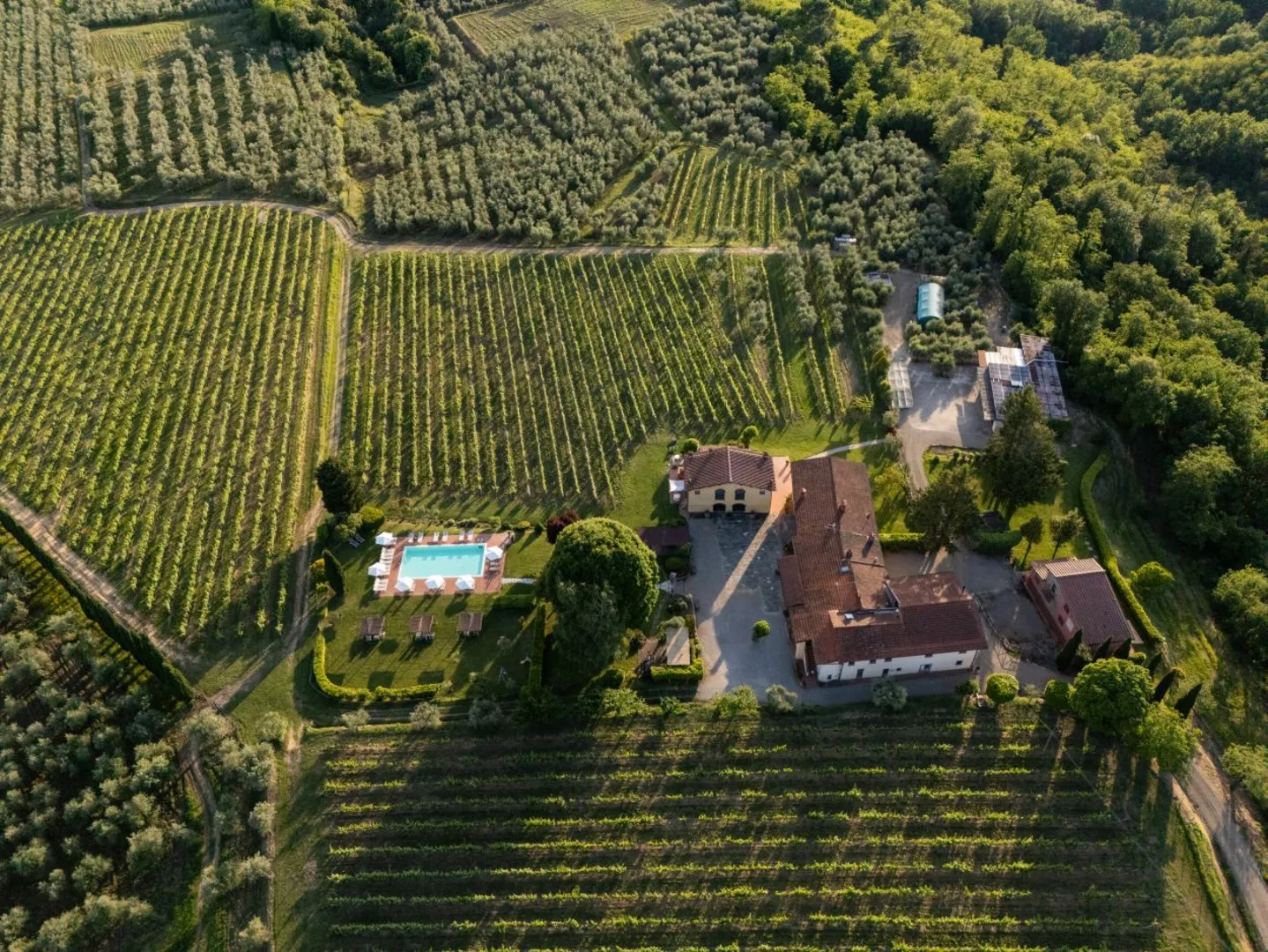 Agriturismo San Jacopo afbeelding 2