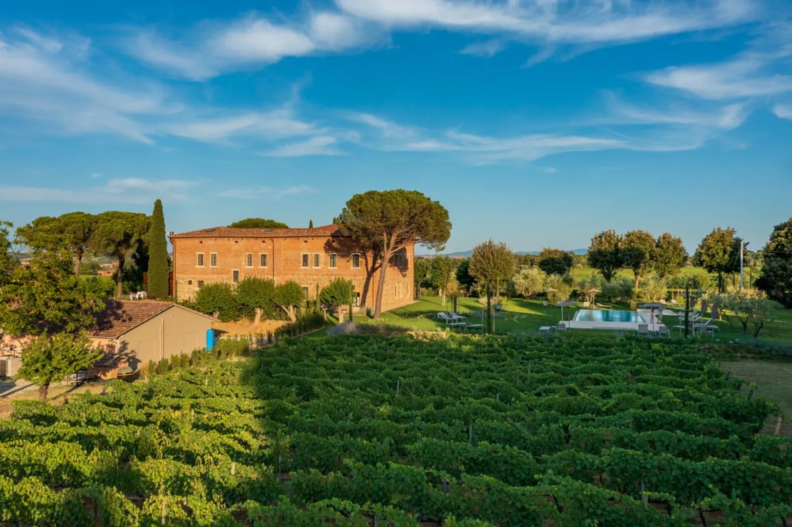 Agriturismo Fattoria Svetoni B&B  afbeelding 3