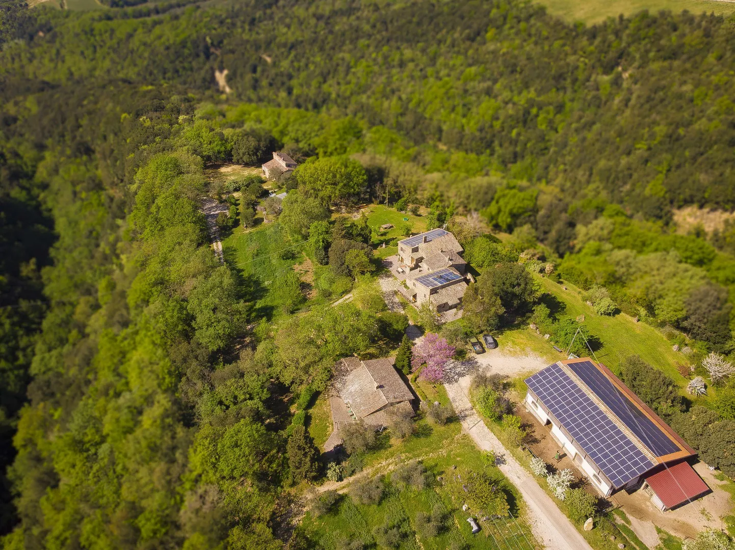 Agriturismo Fattoria Walden afbeelding 1