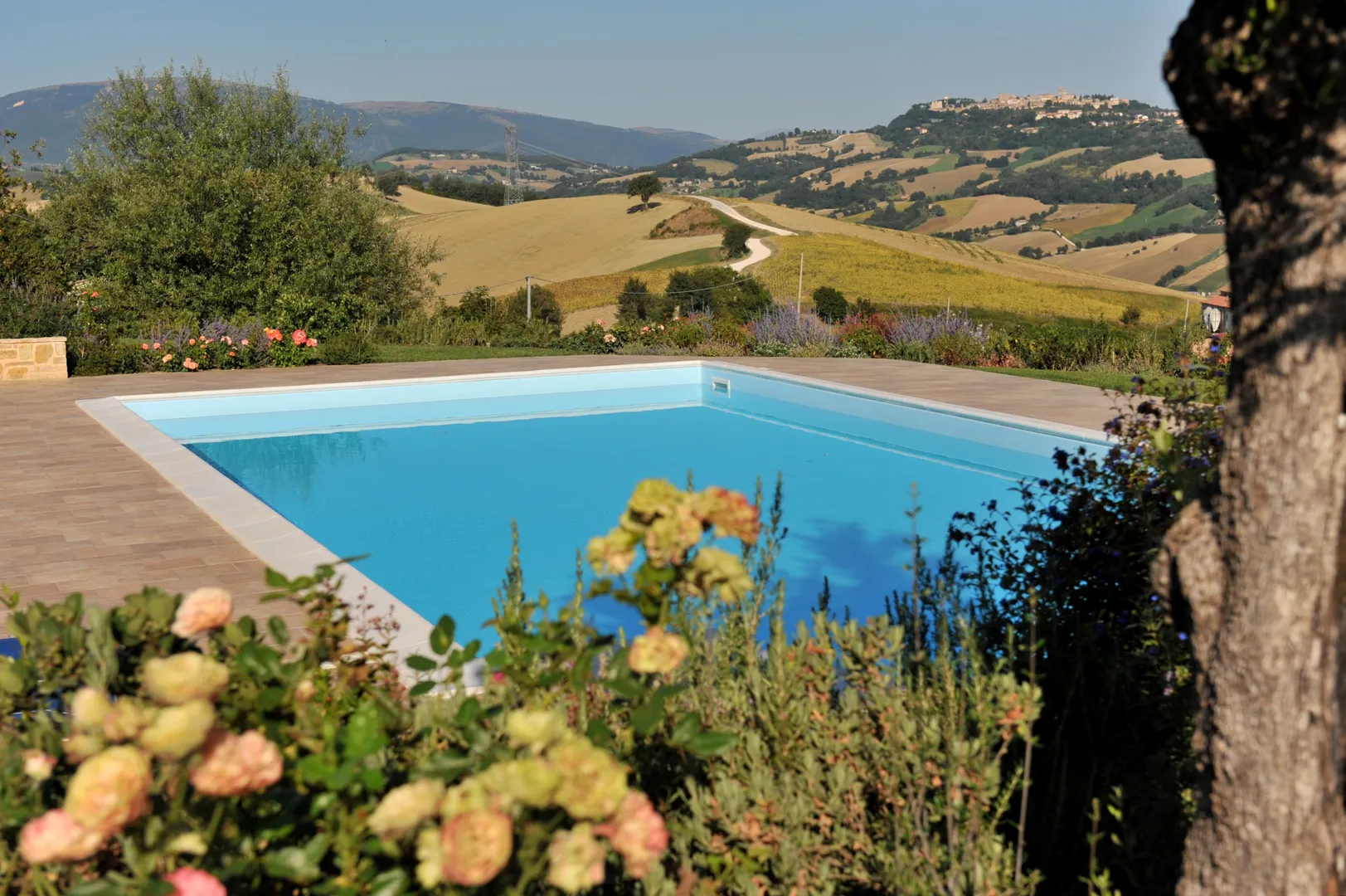 Agriturismo Il Picchio Verde B&B afbeelding 2