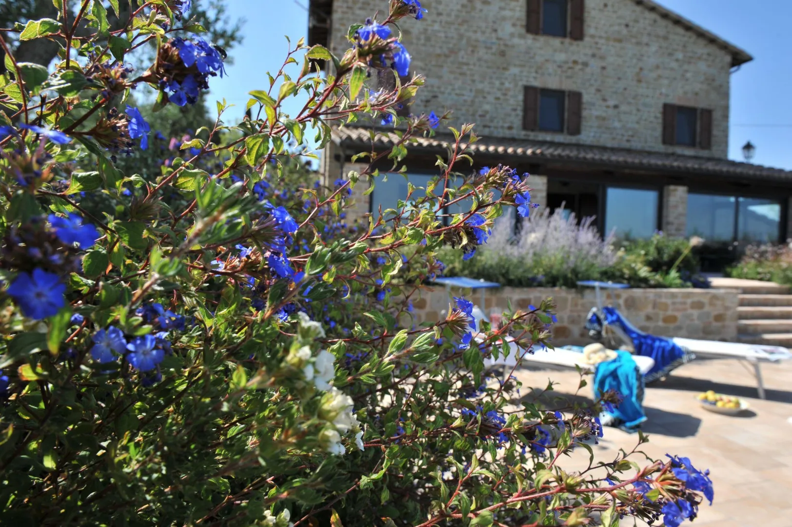 Agriturismo Il Picchio Verde afbeelding 4