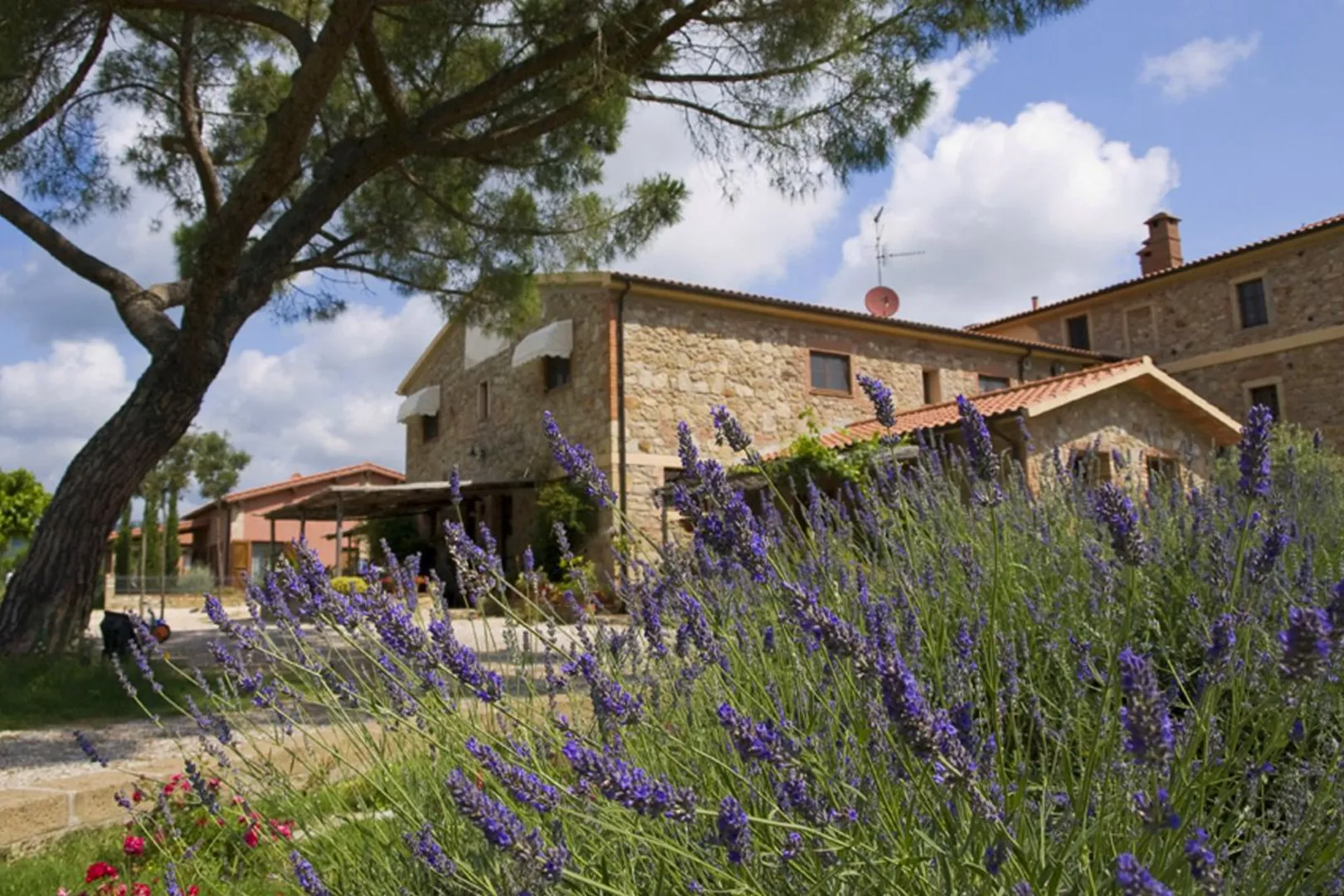 Agriturismo Il Poggiarello B&B afbeelding 4