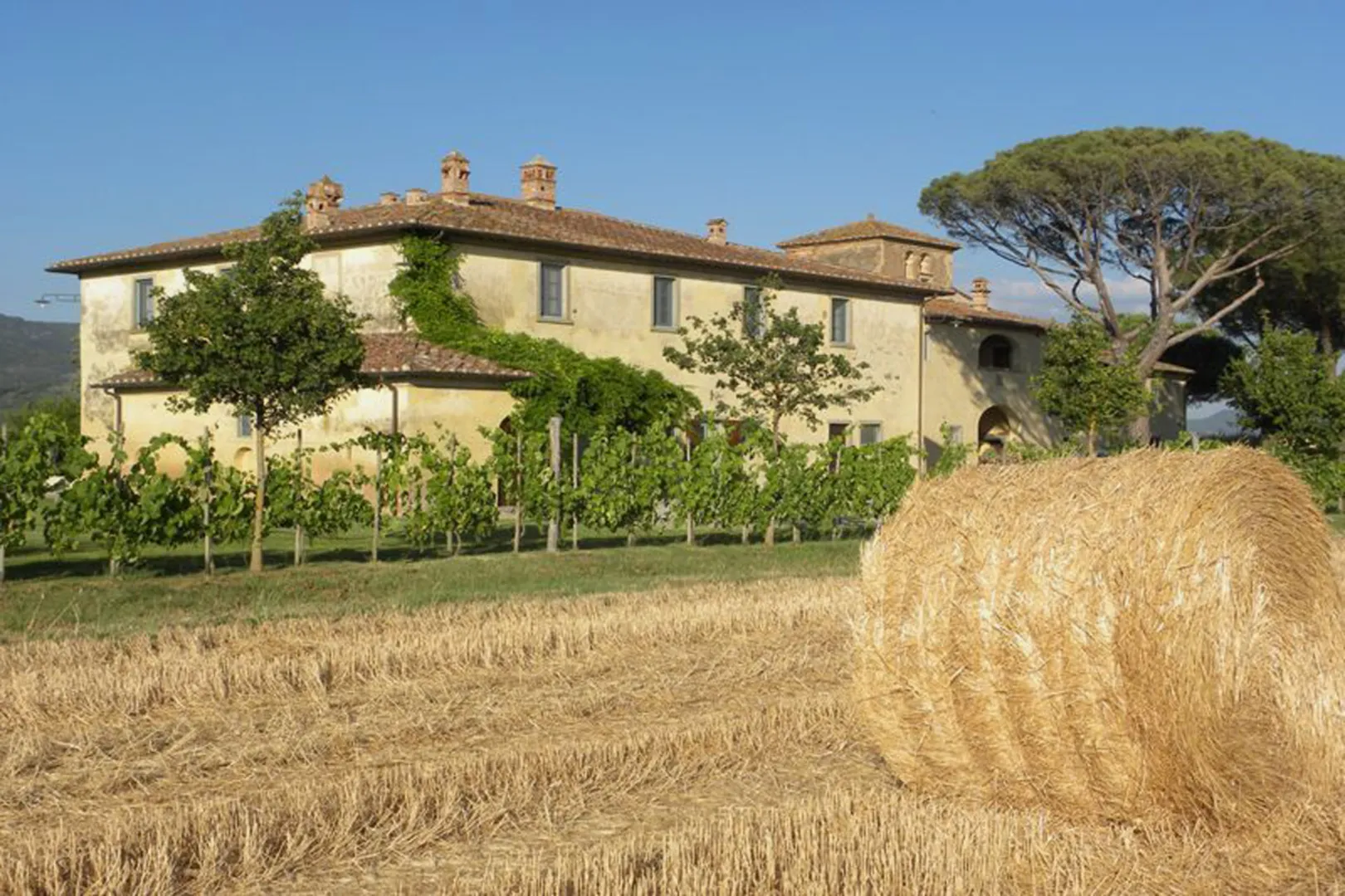 Agriturismo Le Terre dei Cavalieri afbeelding 1