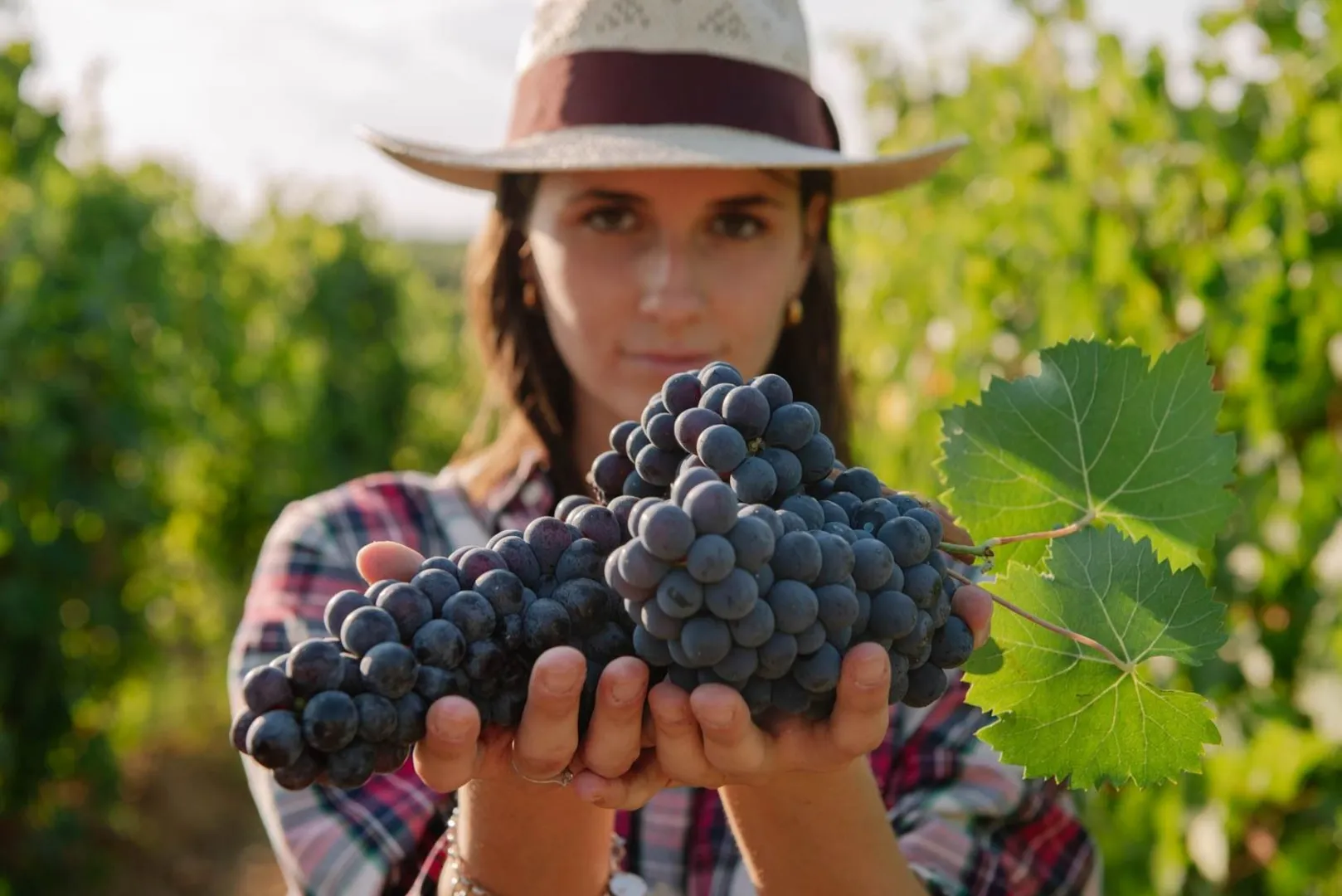 Agriturismo Monna Caterina Wijnresort afbeelding 4