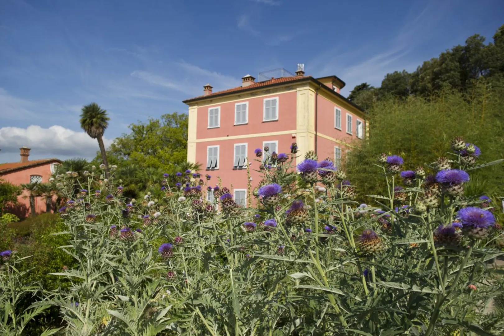 Agriturismo Monteverde afbeelding 3