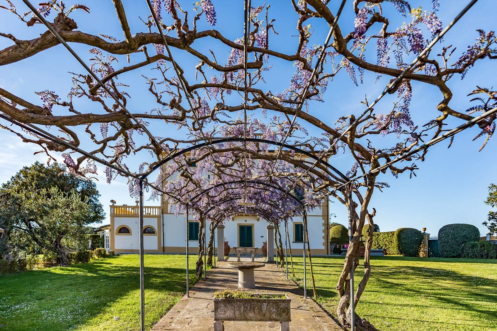 Agriturismo Podere Sant'Antonio afbeelding 3
