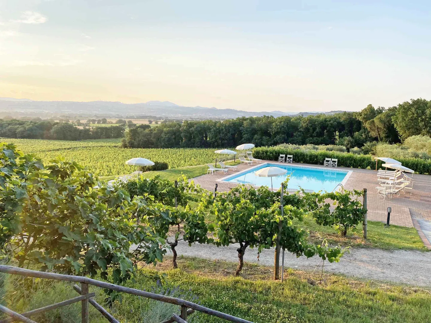 Agriturismo Poggio alle Vigne afbeelding 3