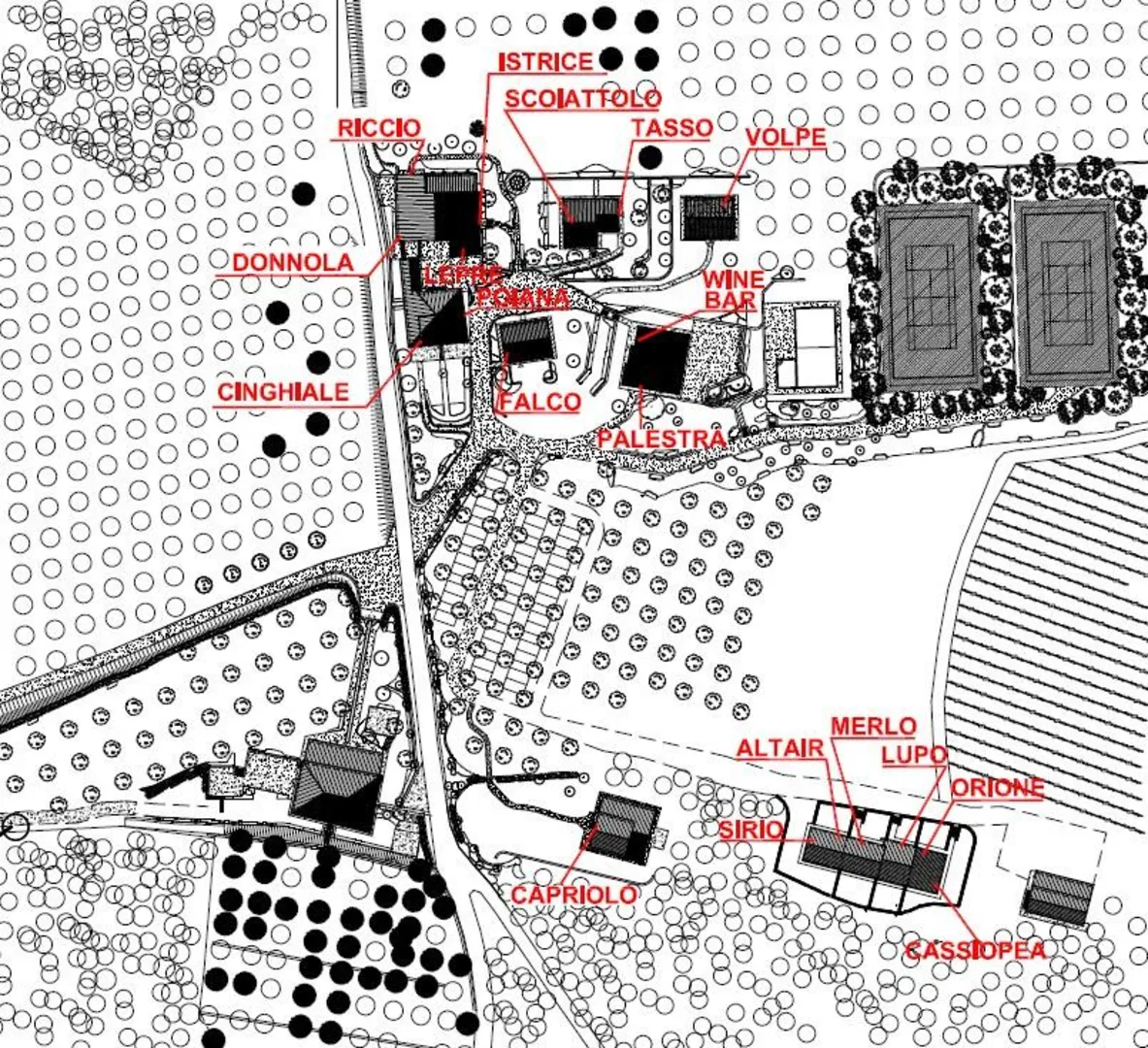 Agriturismo Poggio Cennina B&B afbeelding 4