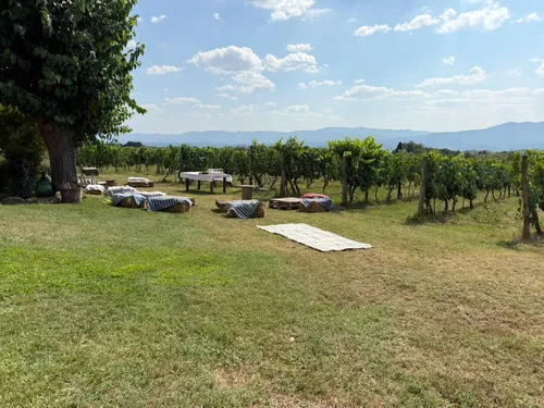 Agriturismo San Jacopo - Italiaanse avonden 8