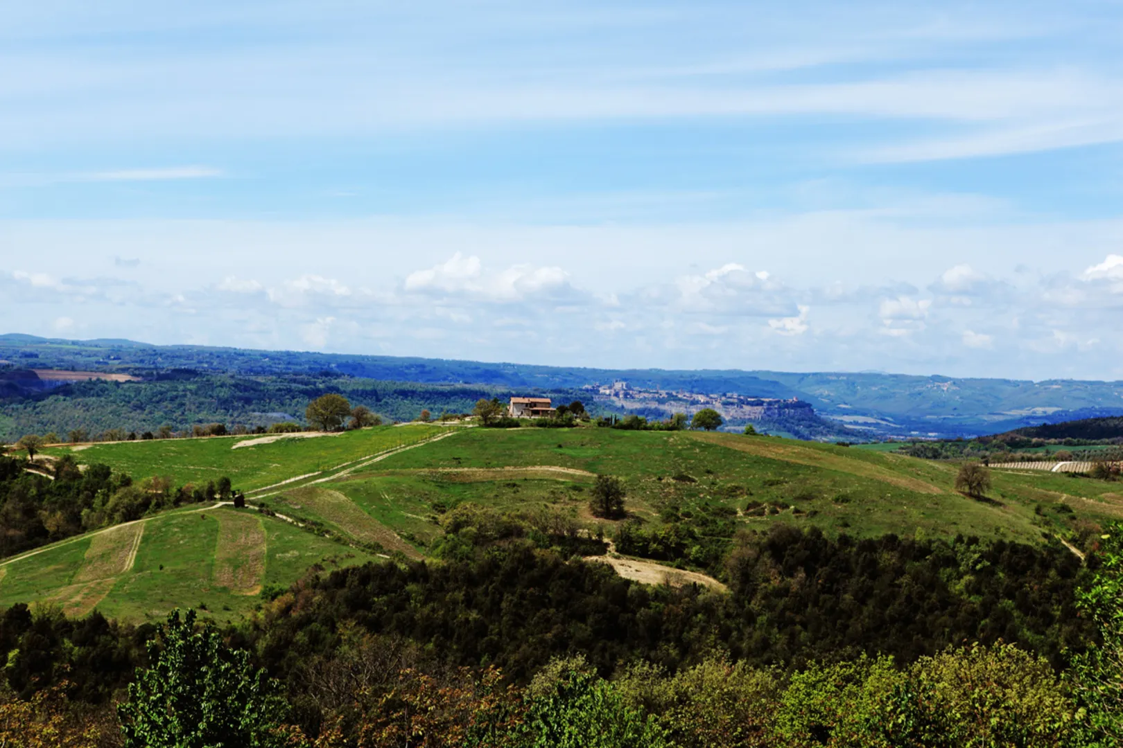 Agriturismo Tenuta di Corbara, Podere Oglieto afbeelding 1