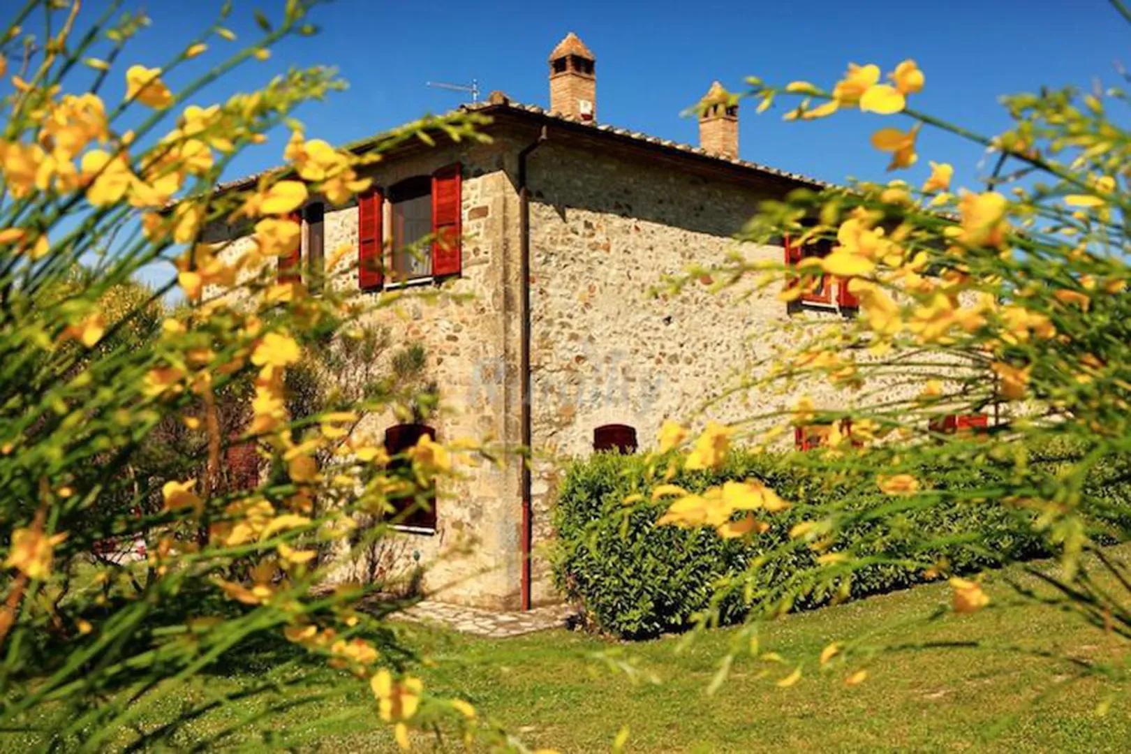 Agriturismo Tenuta di Corbara, Podere Torricella afbeelding 1