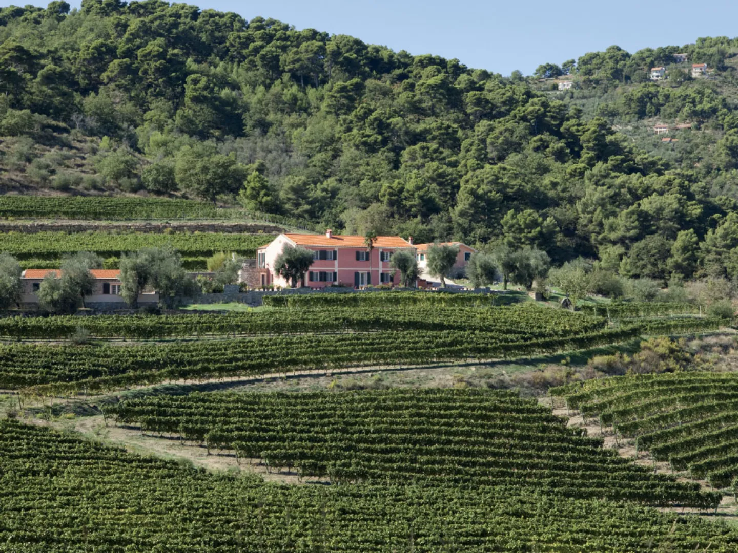 Agriturismo Valcrosa afbeelding 1