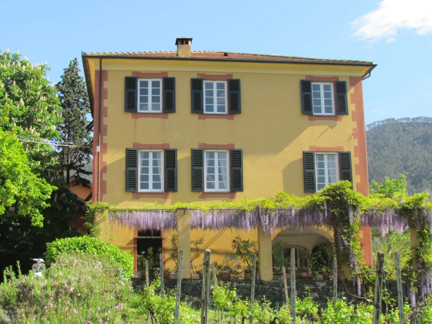 Agriturismo Villanova B&B afbeelding 3