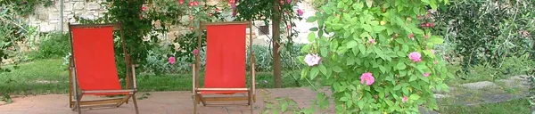 Agriturismo_Fattoria_Casa_Sola_Montarsiccio_topfoto