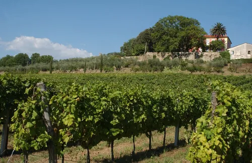 am_Agriturismo_Monteverde