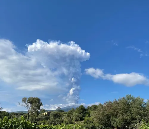 av_Tenuta_Madonnina