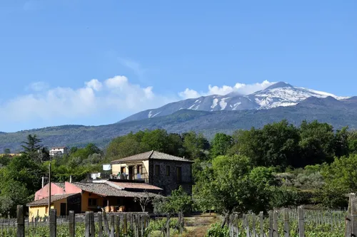 ax_Tenuta_Madonnina