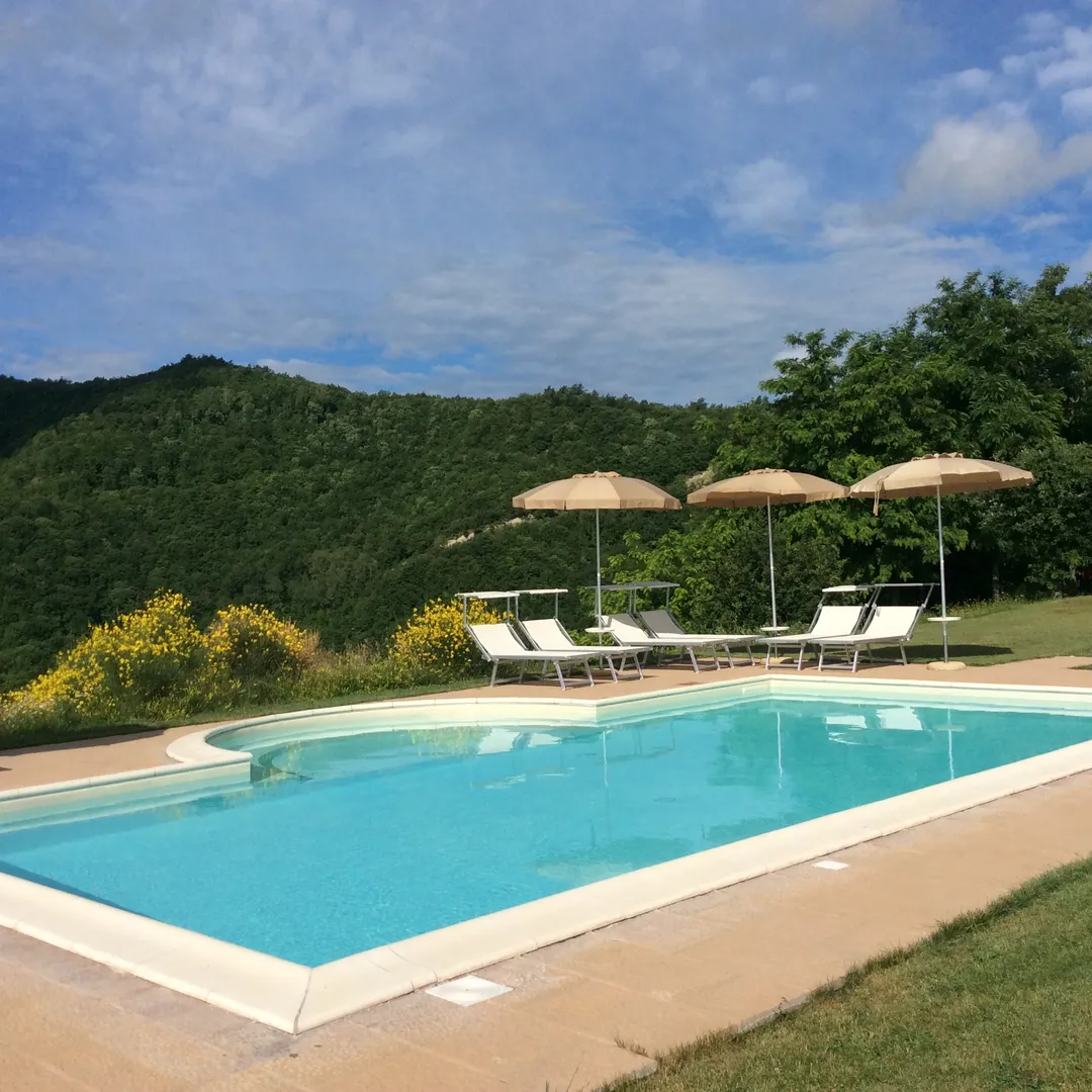 Cabraldi afbeelding 1