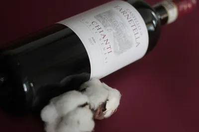 Chianti 1