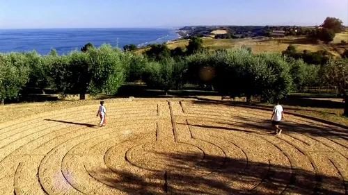 Contea dei Ciliegi - Algemeen 14