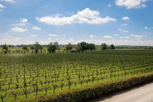 Corte Arcadia Agriturismo Relais 14