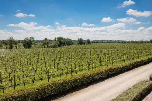 Corte Arcadia Agriturismo Relais 16