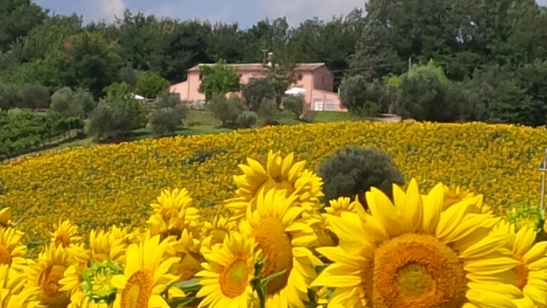 Country House Gemma di Sant'Elena afbeelding 3