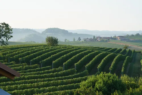 Country House Vineho 36