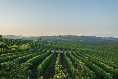 Country House Vineho 38