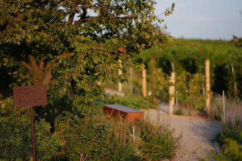 Country House Vineho 6