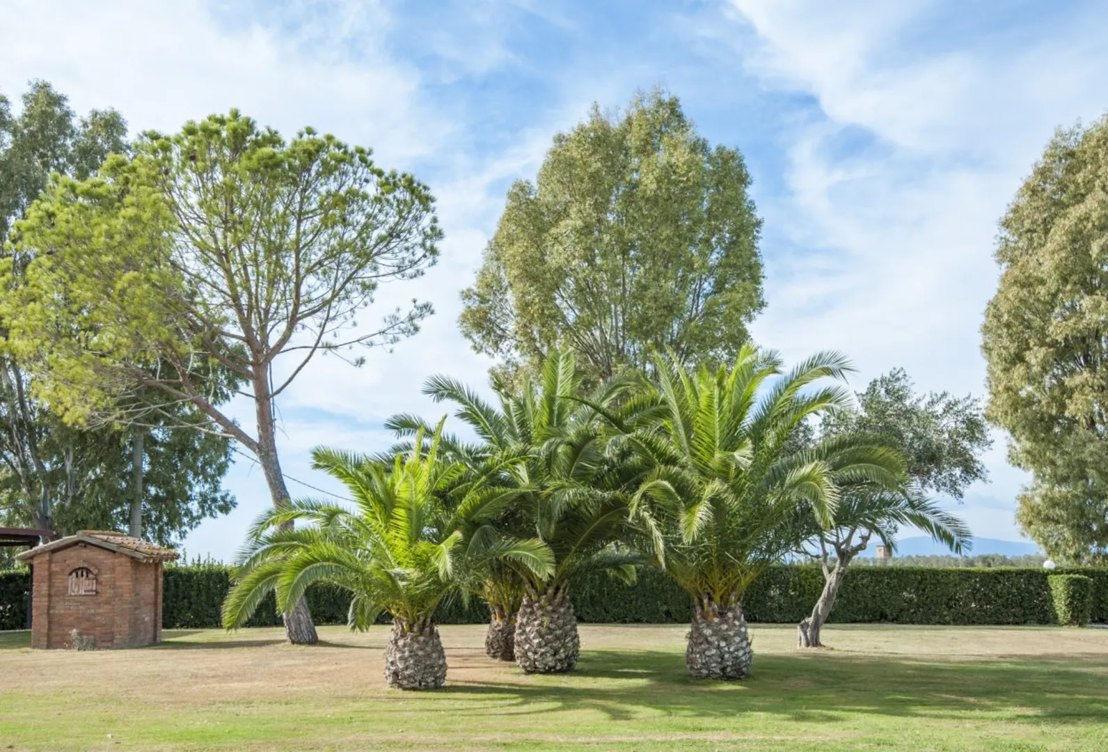 Fattoria San Lorenzo, Le Capanne afbeelding 2