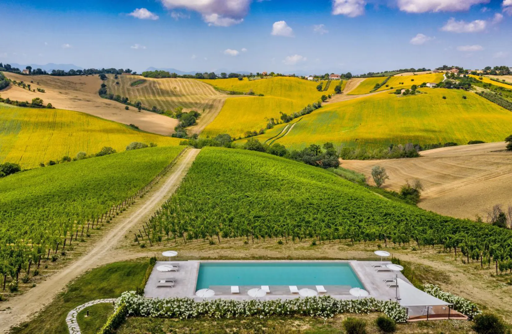 Filodivino Wine Resort & Spa afbeelding 3