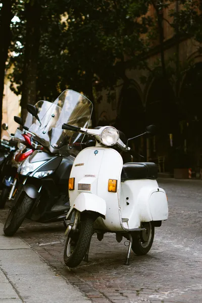 grigorii-shcheglov--w3JgT96Drw-unsplash