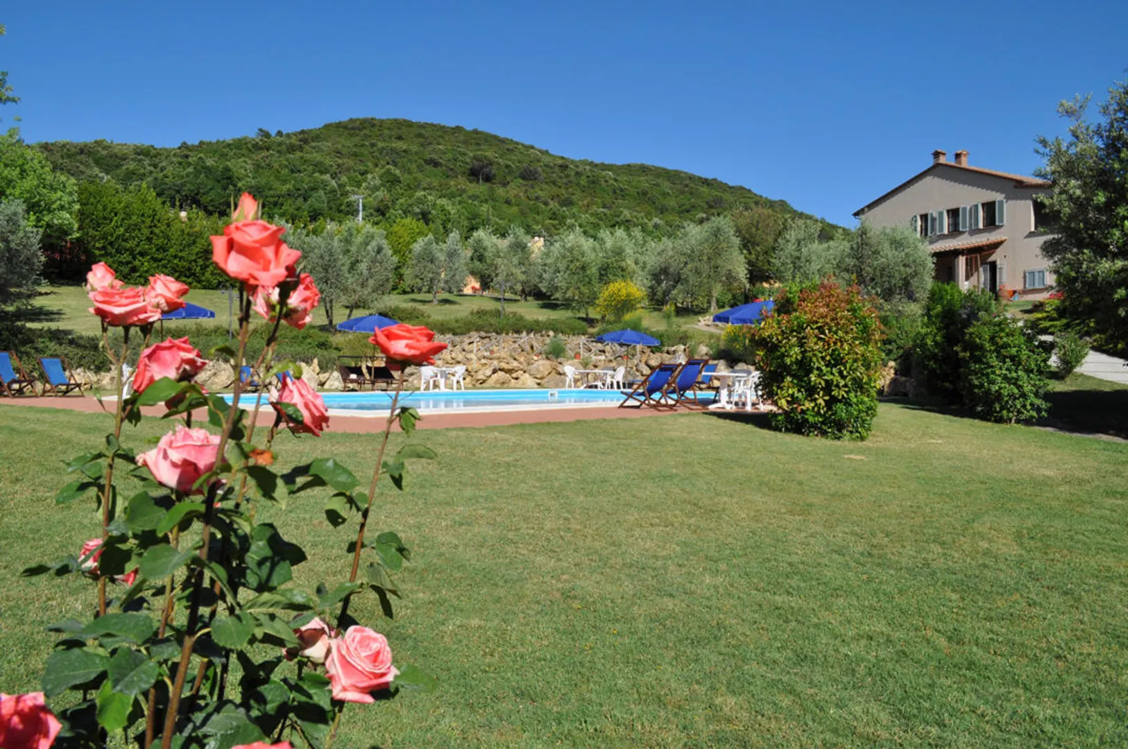 Il Casale del Madonnino afbeelding 2