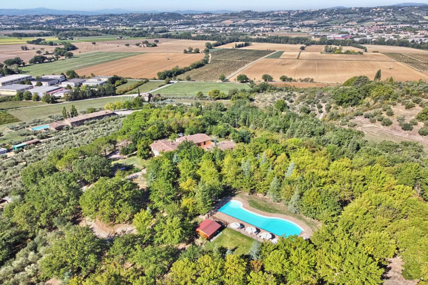 La Collina dei Ciliegi afbeelding 1