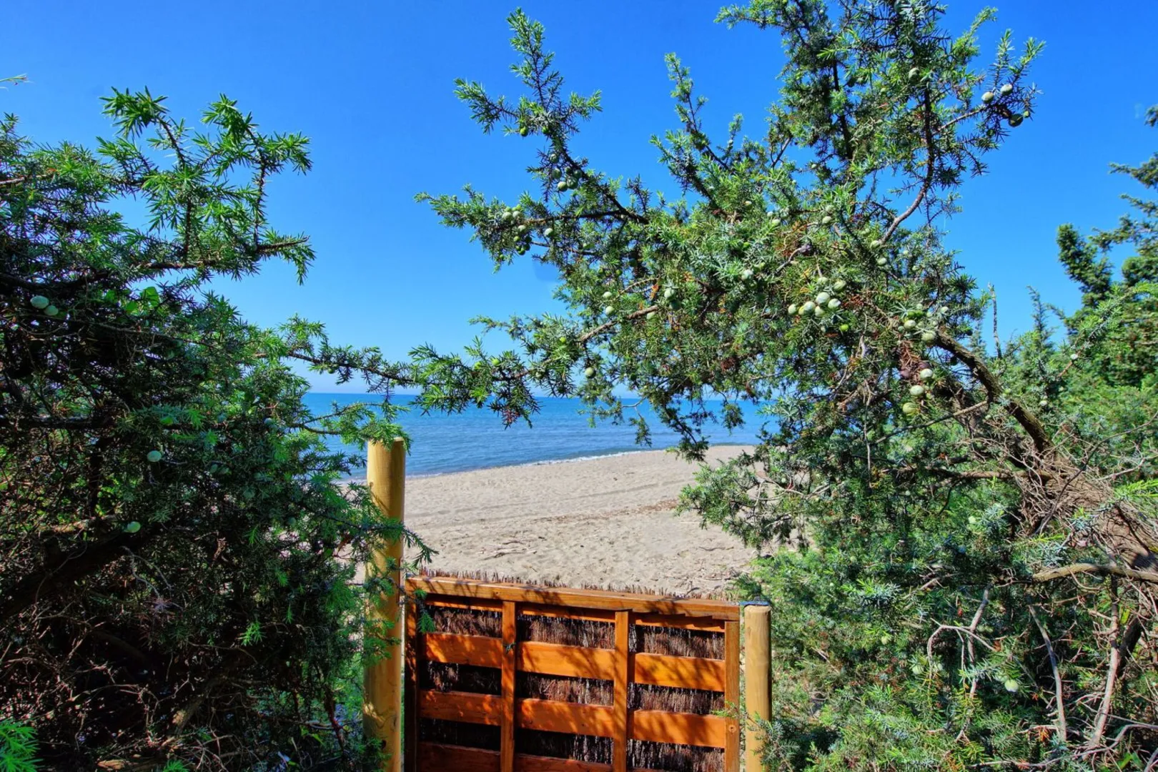 Le Dune afbeelding 2