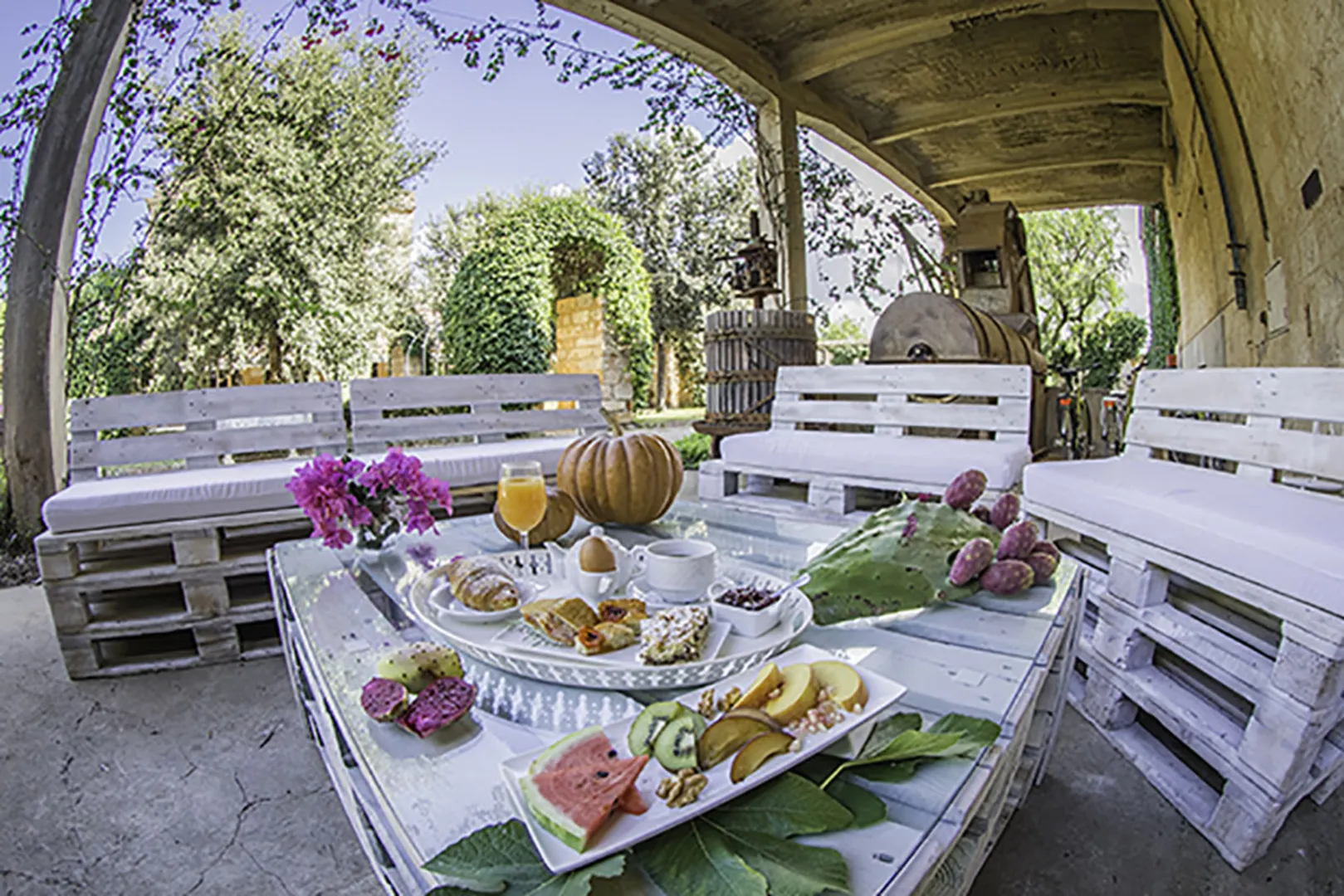 Masseria Baroni Nuovi B&B afbeelding 4